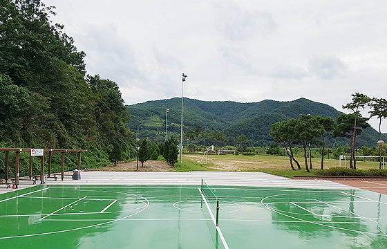 체육활동장 사진