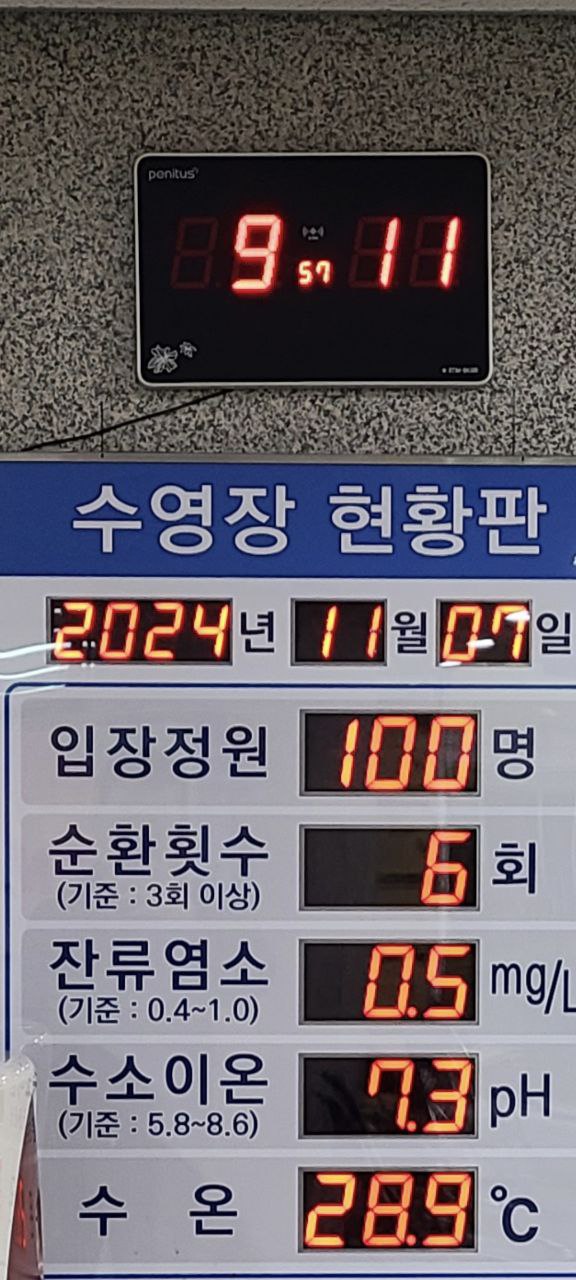 그림파일