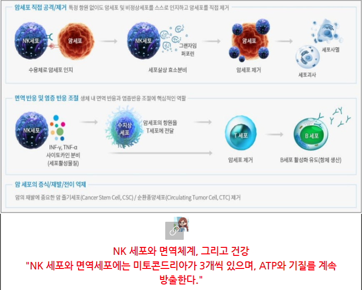 그림파일