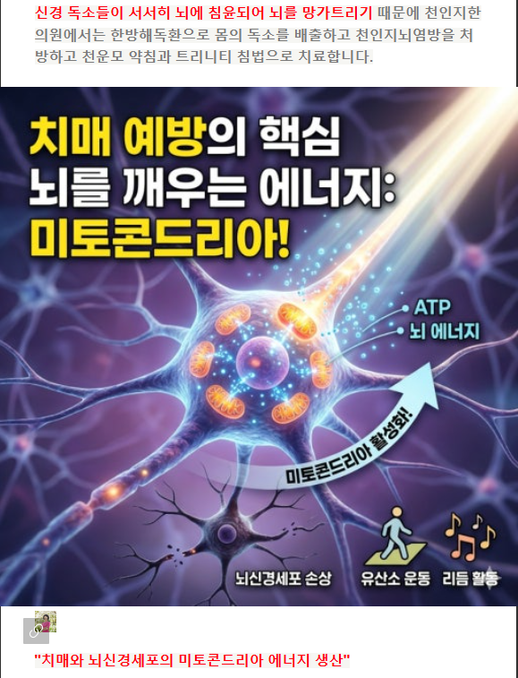 그림파일