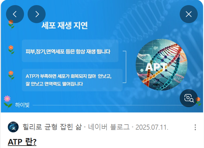 그림파일
